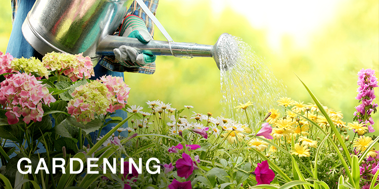 Patio, Lawn & Garden